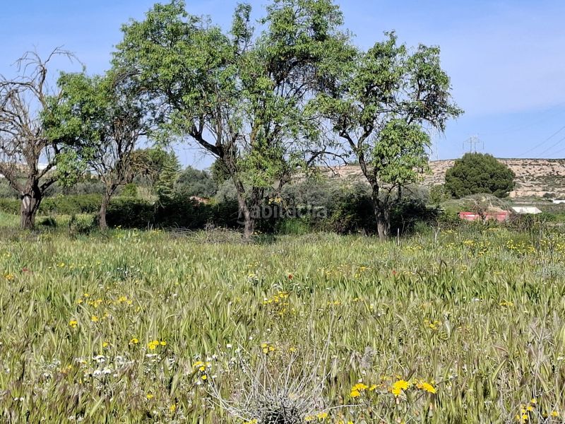 Foto b966da72-efe9-4ed4-825d-b1032f91a520. Finca rústica a Caspe