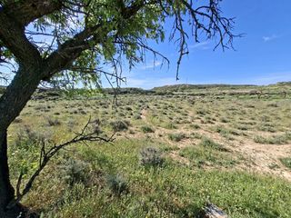 Finca rústica a Caspe. Finca de regadío de 10.008m2. caspe. 7.000€