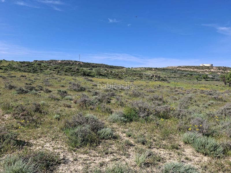 Foto e3b4b231-d6cc-476f-9078-ea876af334e6. Finca rústica a Caspe