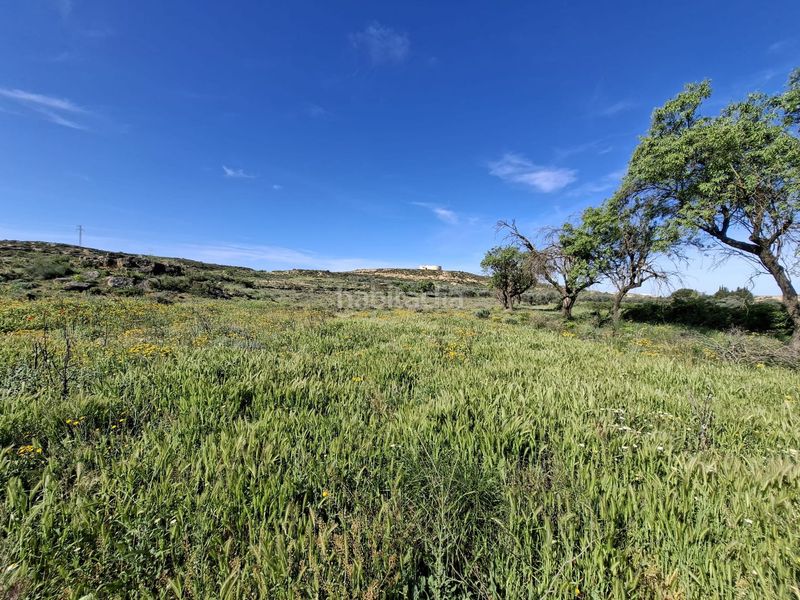 Foto e4ba2ebf-4e32-4def-9602-d4e0a821f93c. Finca rústica a Caspe