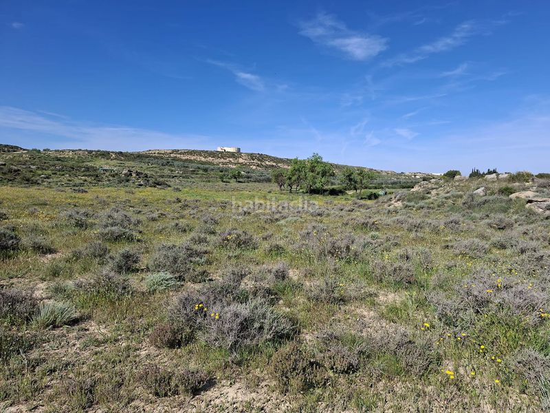 Foto f57653c6-60b7-45e6-831f-8b954fd88d09. Finca rústica a Caspe