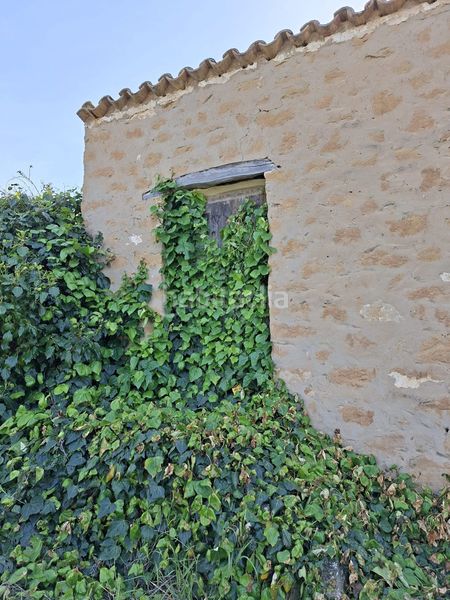Foto 37c5abff-6e17-4b87-8079-79ba74c6e06e. Masia a Caspe