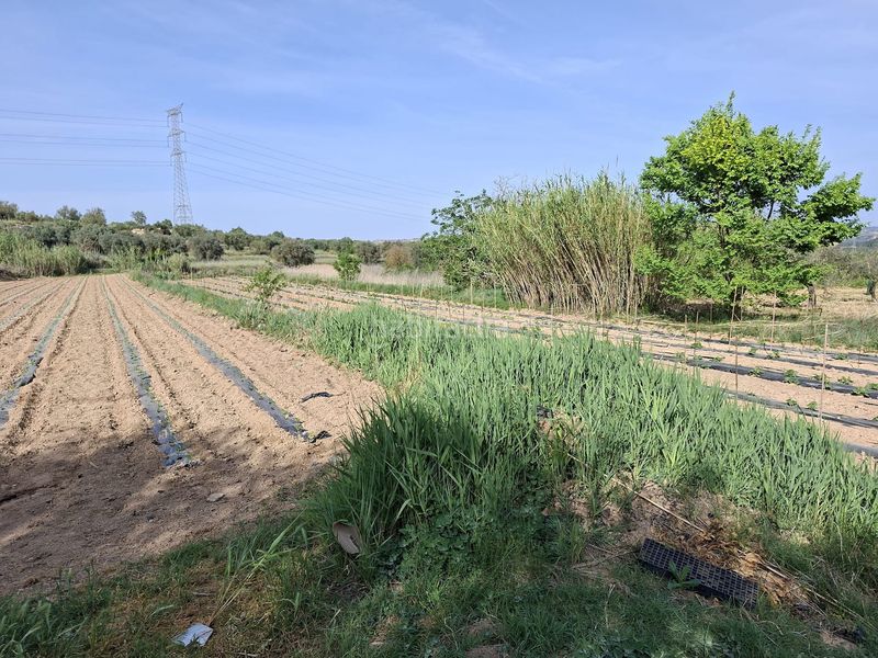 Foto 504840e0-b8c6-44c6-b06e-886b5cccdc9b. Masia a Caspe