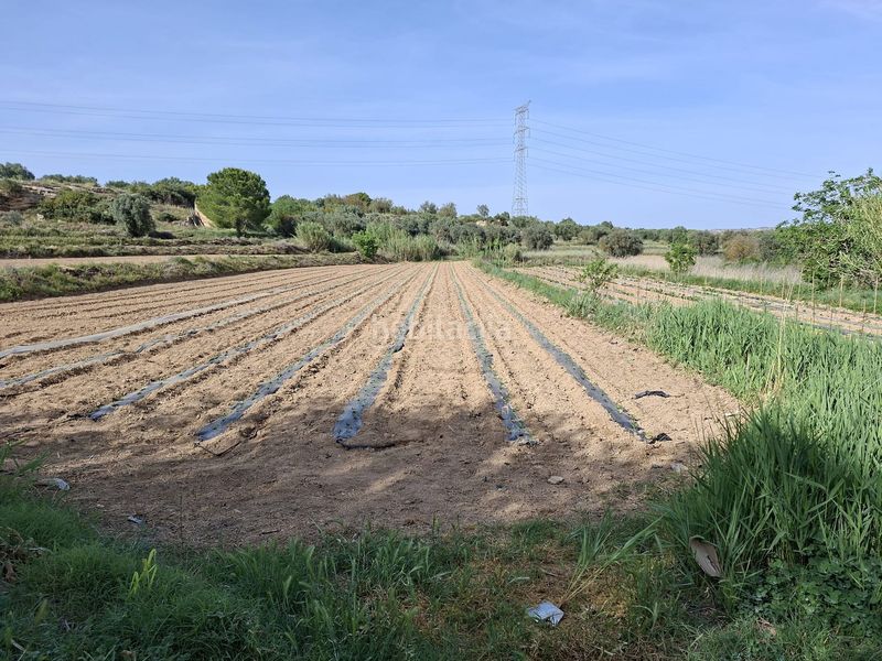 Foto 8abae099-7833-40cd-8f05-52acfdbb045e. Masia a Caspe