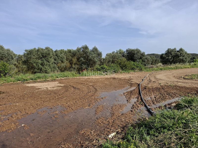 Foto a9f10d06-5957-4e75-b362-813cc0bf2243. Masia a Caspe