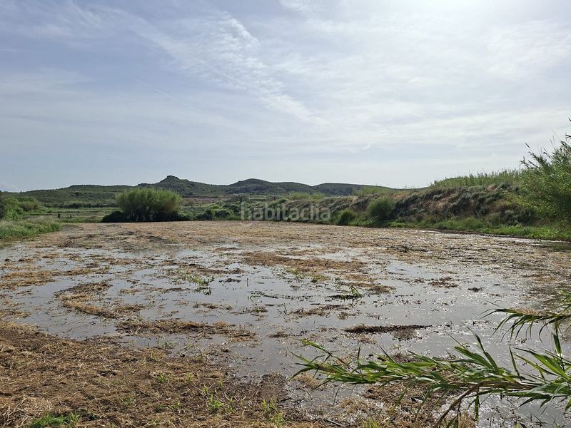 Foto c198c722-2297-4d9b-b197-9ed7230946cf. Masia a Caspe
