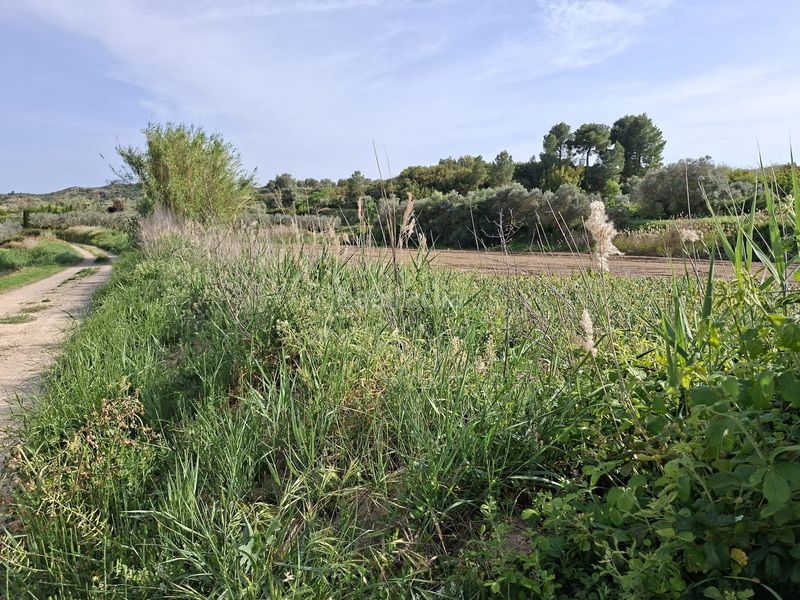 Foto d962c24b-3605-454a-b3e6-ea2a03755034. Masia a Caspe
