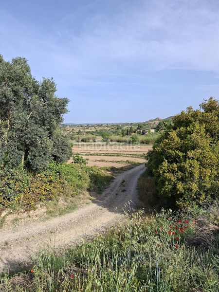 Foto ebce3bf3-461d-4a22-8603-8d321fc1366e. Masia a Caspe