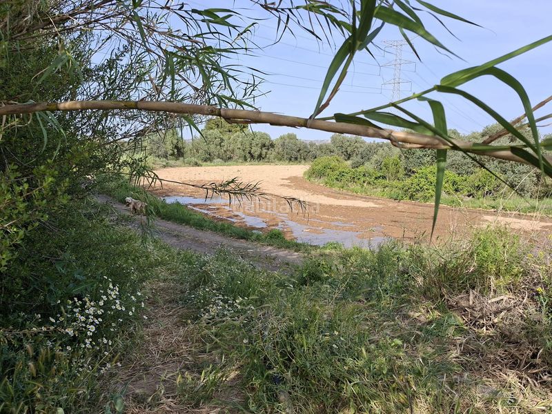 Foto f06b6192-29c0-4365-aa46-ec8752ba3d27. Masia a Caspe