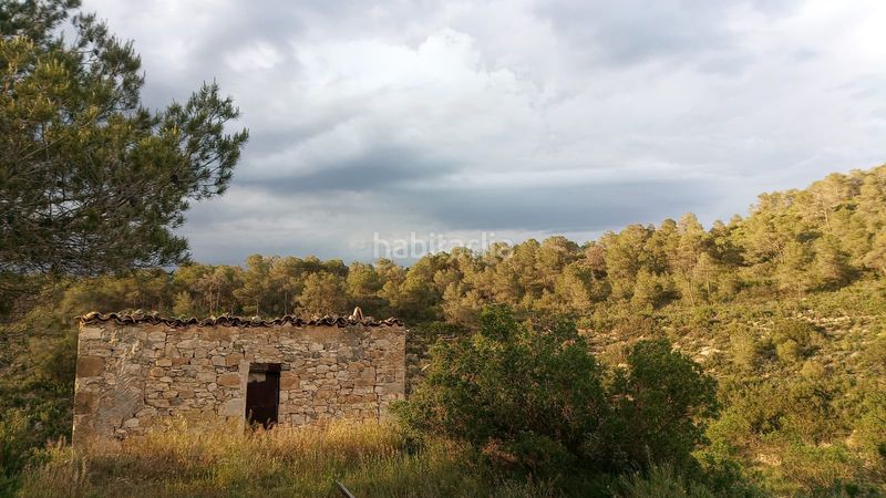 Foto 827b5475-af93-413d-8beb-c5b48bdca99b. Masia a Vilalba dels Arcs