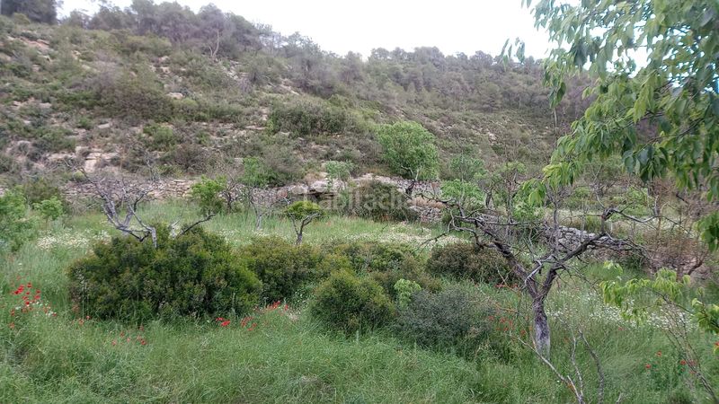 Foto 965338b2-9917-47c3-97c0-4d210637c39d. Masia a Vilalba dels Arcs
