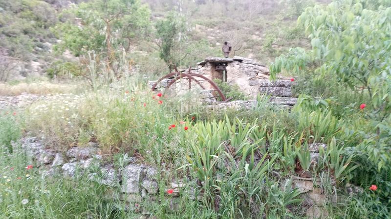 Foto 972a11c7-e670-45ea-8064-70fadd8060ab. Masia a Vilalba dels Arcs
