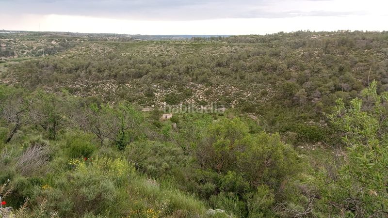 Foto e687d89b-a6cb-4e4c-b612-828d6a031ca2. Masia a Vilalba dels Arcs