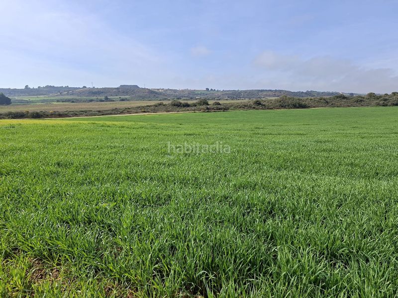 Foto 0fd57cf0-ccb6-4aec-ae70-6d60da521b56. Finca rústica a Caspe