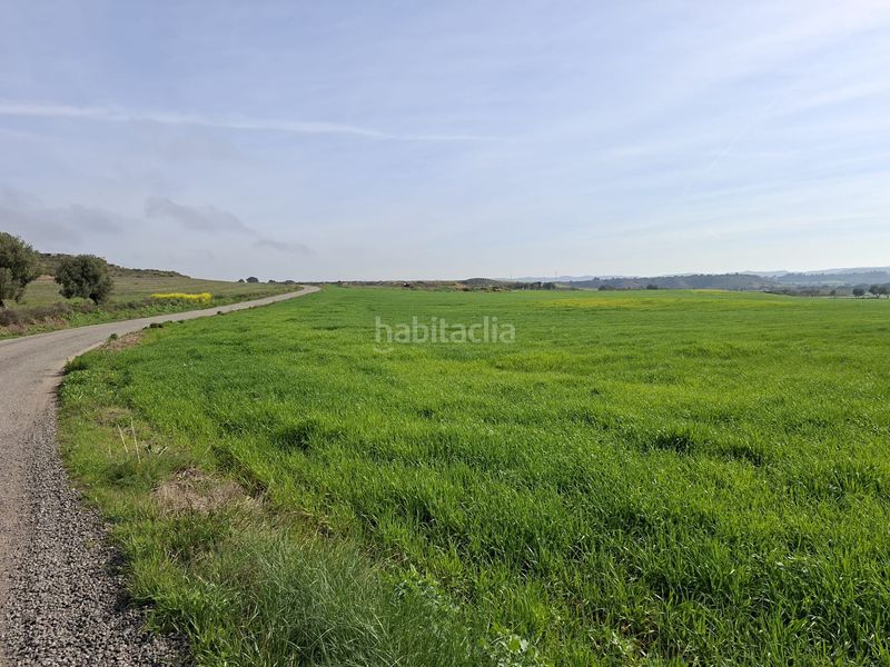 Foto 1c17bcb0-4c23-4c48-bbc0-b27b563bedd1. Finca rústica a Caspe