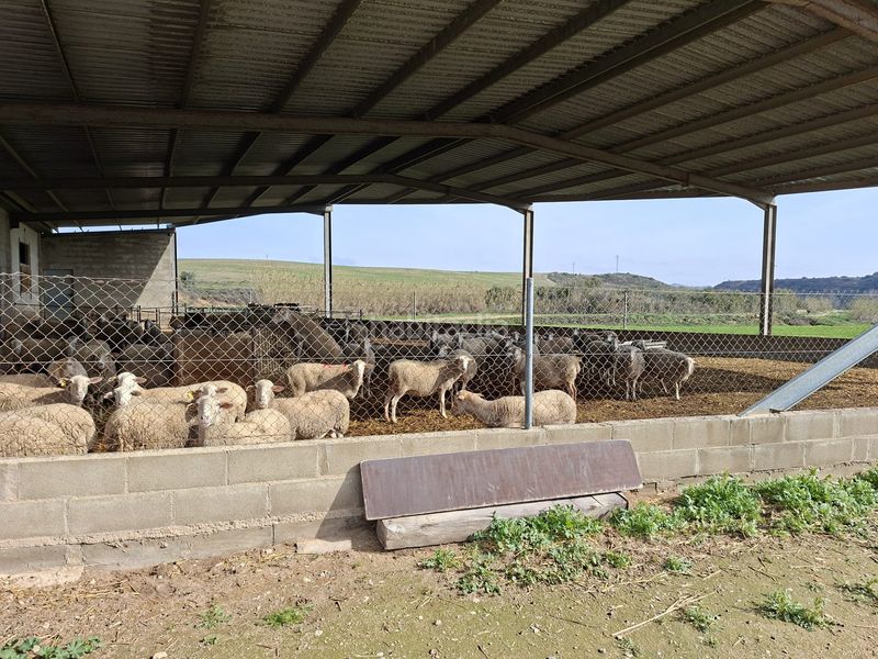 Foto 22d6f6f2-9215-4074-af7e-8fbe606117d4. Finca rústica a Caspe