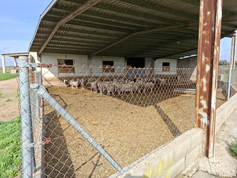 Foto 2e54b48b-f780-47a2-9334-19a1bda763a0. Finca rústica a Caspe