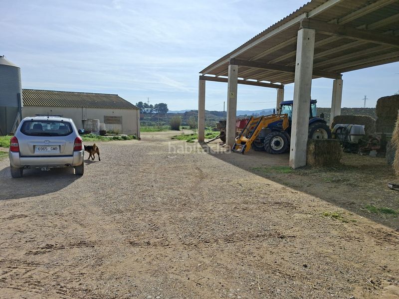 Foto 4a35ed4d-336a-4bcf-9fa6-aee4fa6b8364. Finca rústica a Caspe