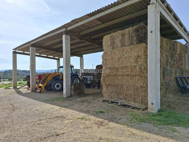 Foto 59f3ca07-a0d3-4979-85b7-095008502005. Finca rústica a Caspe