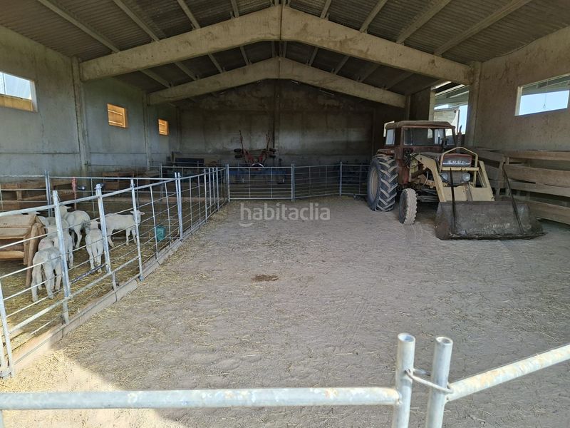 Foto 7c21c017-6c8e-412c-abd0-2cfeec512b0c. Finca rústica a Caspe