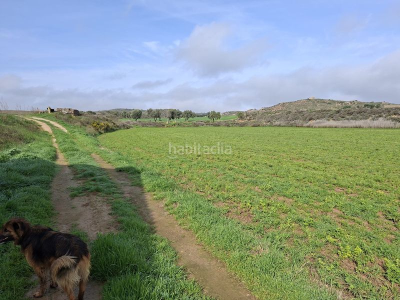 Foto 825a9283-7291-497e-acf8-219251a245e3. Finca rústica a Caspe