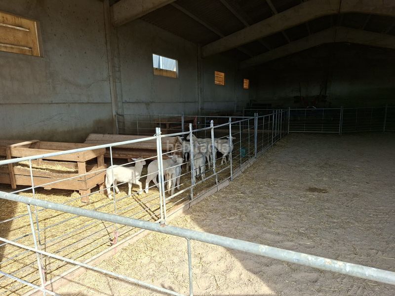 Foto 8ae7da10-a141-4382-b09d-691e300d252a. Finca rústica a Caspe