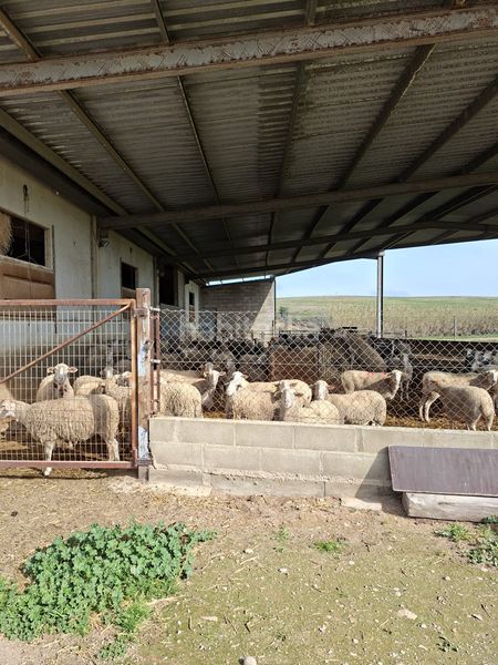 Foto 8f8bf29b-5440-45d7-bdbf-d7cb3a7a4d00. Finca rústica a Caspe