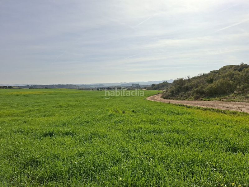 Foto 936a1052-78cb-4ab1-8401-56662282d88b. Finca rústica a Caspe