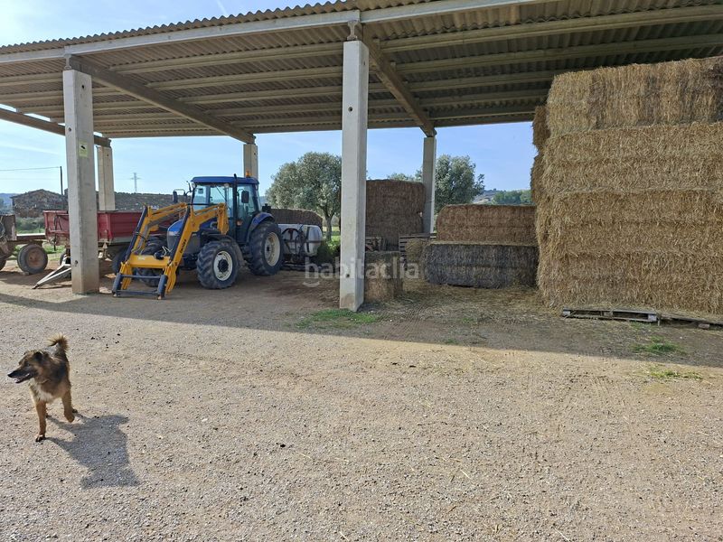 Foto 942085ce-eaf5-44b9-a20f-c508c01f475c. Finca rústica a Caspe