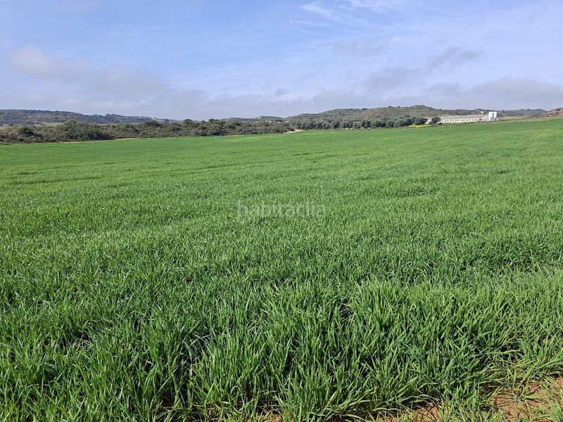 Foto bec3cf20-b229-4326-b2b5-0d9f70a9de36. Finca rústica a Caspe