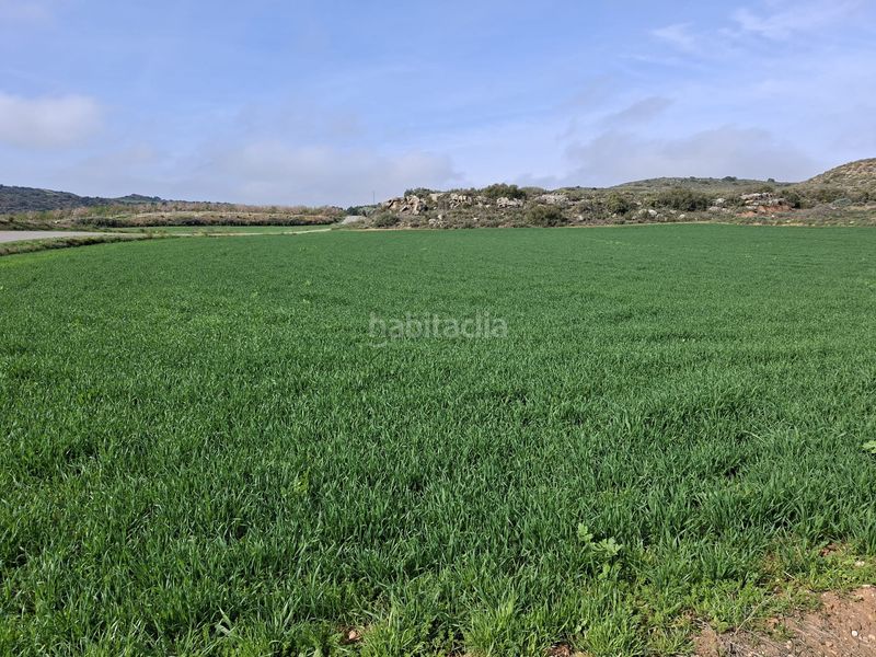 Foto d61657d7-36eb-48b3-b6e2-8974e2dd8299. Finca rústica a Caspe