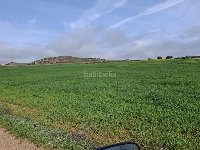 Foto dd730717-c3b8-4026-966c-43cf8347280d. Finca rústica a Caspe