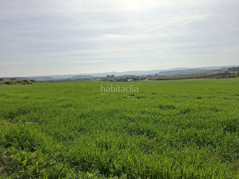 Foto ffb6e62b-ec7d-4ca8-8cda-a10aa08d2d72. Finca rústica a Caspe