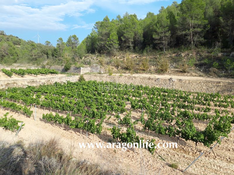 Foto 0afee02b-d6f2-4646-b685-fc413c550d3e. Masia a Caseres