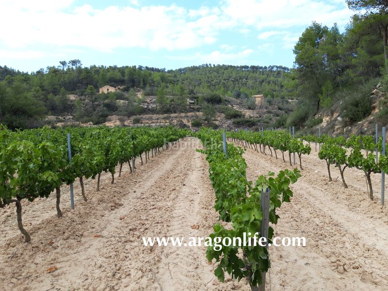 Foto 4368c3fd-b090-4920-9f33-45277a5ec35f. Masia a Caseres