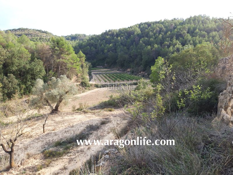 Foto 478ce6d0-d20e-4908-a74f-dd15a9a2809c. Masia a Caseres