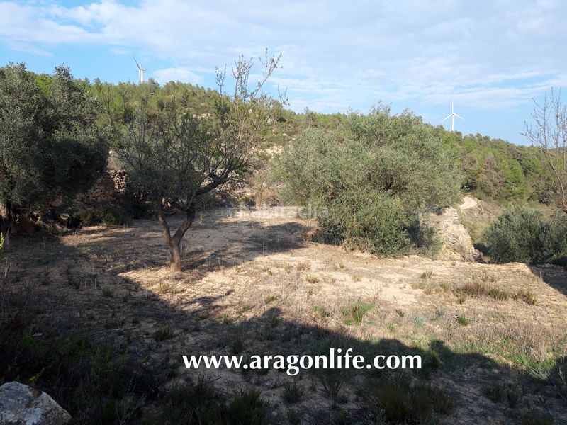 Foto 6027b2ce-be8b-49a3-b780-bca4ed060371. Masia a Caseres