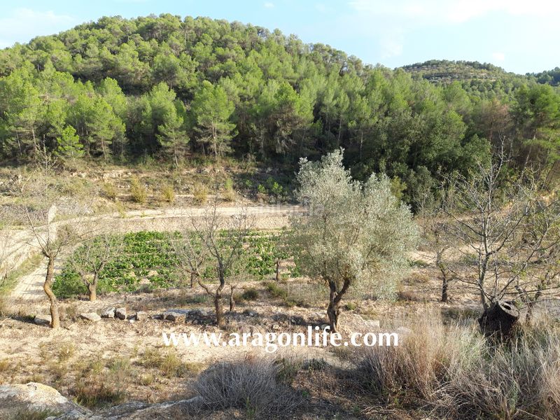 Foto 9dbcfa3e-b2f5-4c31-8d84-5b6eadc5283a. Masia a Caseres