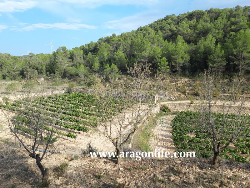 Foto eb0e044a-9d03-428d-b7bb-087340ace217. Masia a Caseres