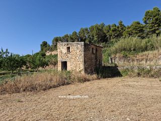 Mas  Calle umbría. Finca con agua de 4.479m2 +casita de 40m2. mazaleón. al lado del