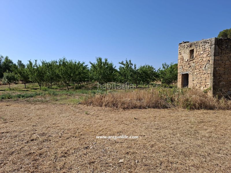 Foto b2e6c475-6e96-44d5-935f-447ebafc232b. Masia a Mazaleón