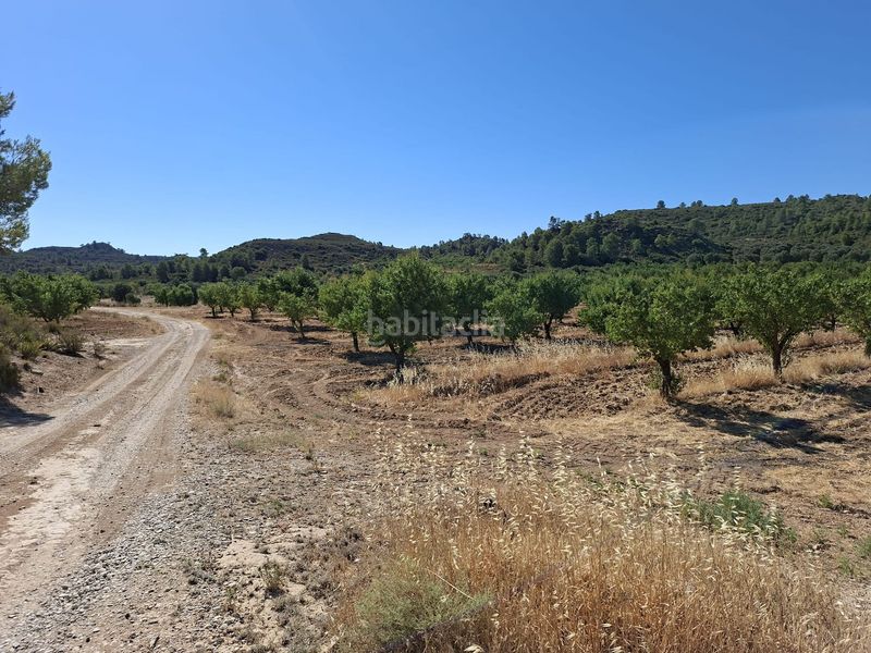 Foto 13ce098b-bfbb-43ca-b27d-ee2846ab214a. Masia a Maella
