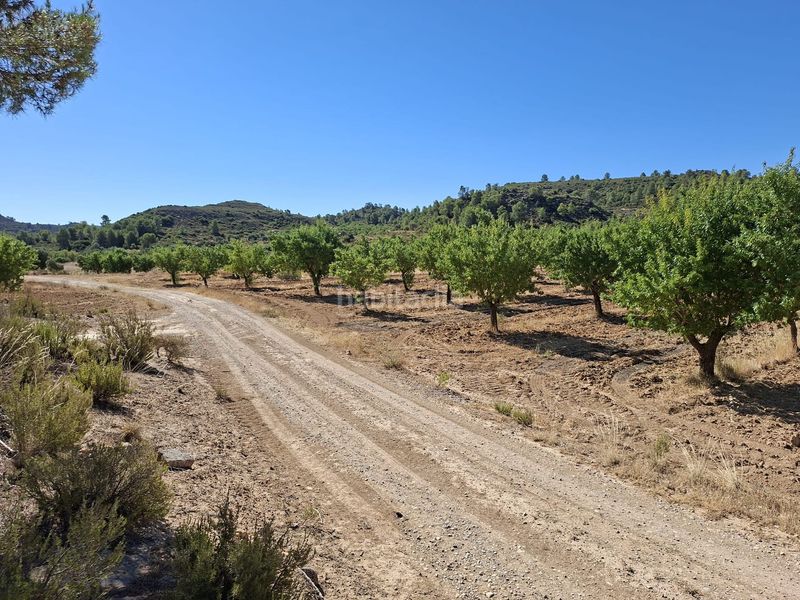 Foto d9e7d447-e177-4680-9d7c-ac5aa28850dd. Masia a Maella