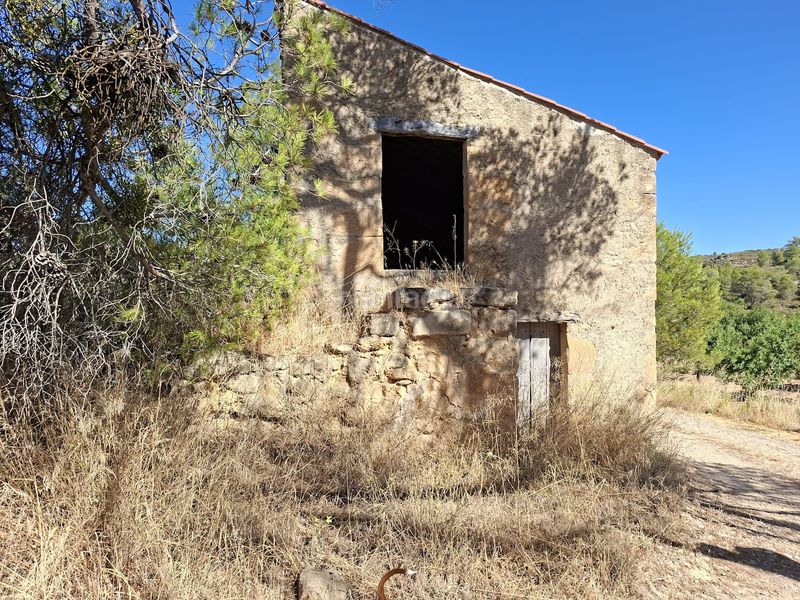 Foto e8e3c2e5-c816-4731-848e-c30f80183fdc. Masia a Maella