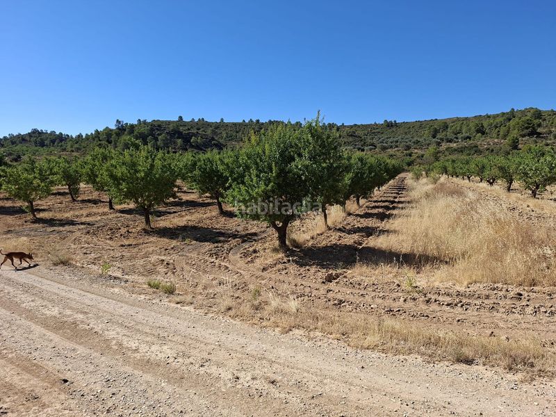Foto ef4029e8-40c5-4e2d-95ae-3b00de444884. Masia a Maella