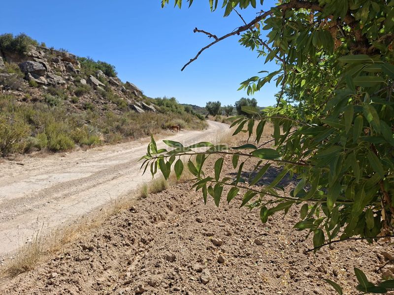 Foto 1cd7d1da-16e1-4c51-988f-2c408bc29c52. Finca rústica a Maella