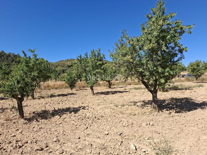 Foto 4bac811e-6611-4d77-b81b-5cee0241fc5a. Finca rústica a Maella