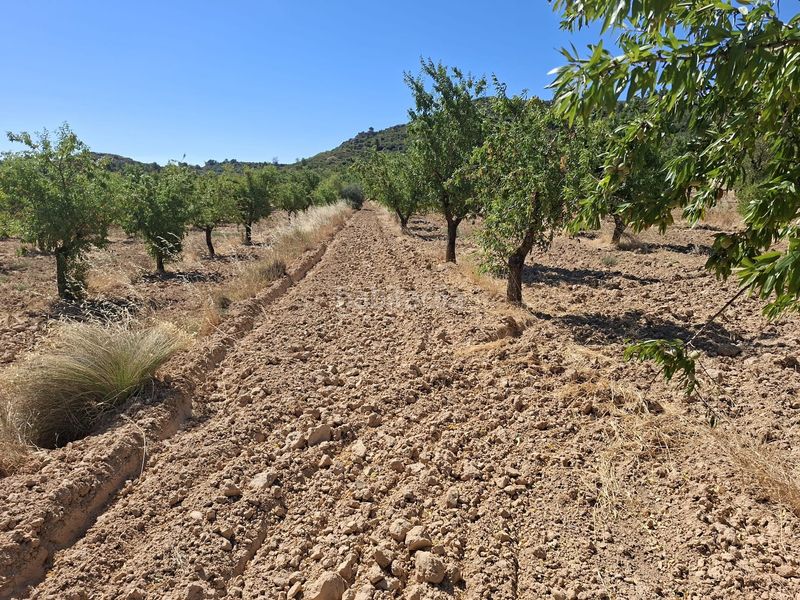 Foto c8a1ed66-fcbb-4e28-9876-5c00c8e3e42b. Finca rústica a Maella