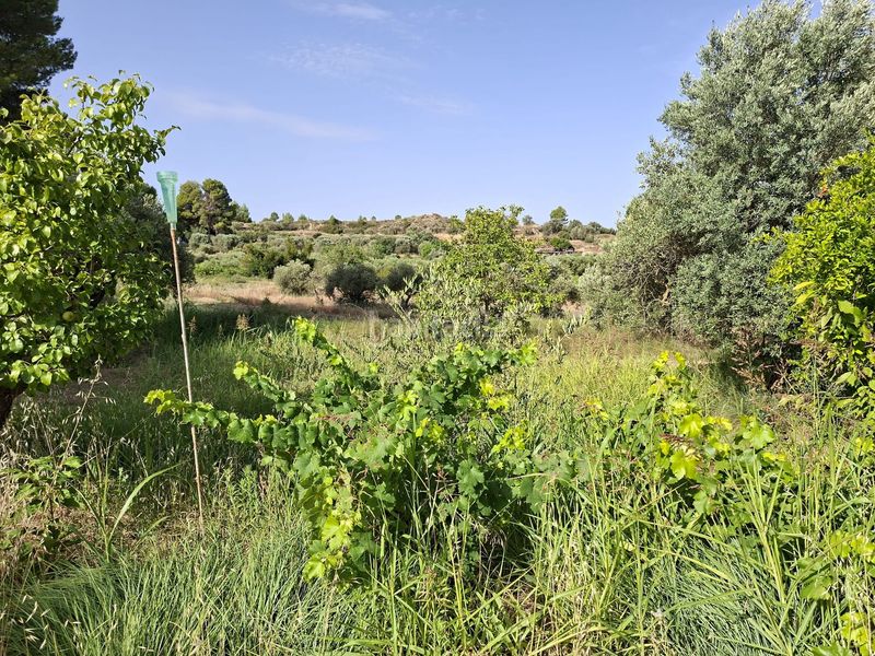 Foto 27efb070-709d-4b08-89d3-a7542b3a9761. Masia amb piscina a Caspe