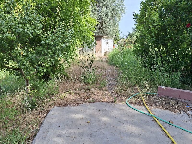 Foto 584861dc-550e-42fa-b9a8-5a8e5b9fcc9a. Masia amb piscina a Caspe